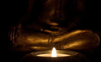 Nên sống nhanh hay chậm